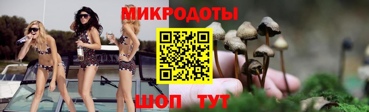 Волгоград  Галлюциногенные грибы Psilocybine cubensis  Вход с VPN 